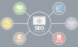 罗湖网站SEO 优化  推广